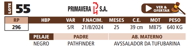 Lote LOTE 55