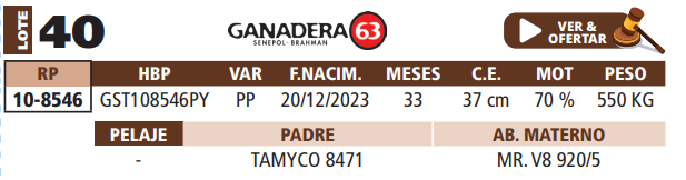 Lote LOTE 40