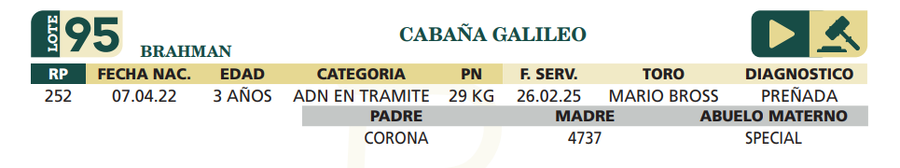 Lote LOTE 95