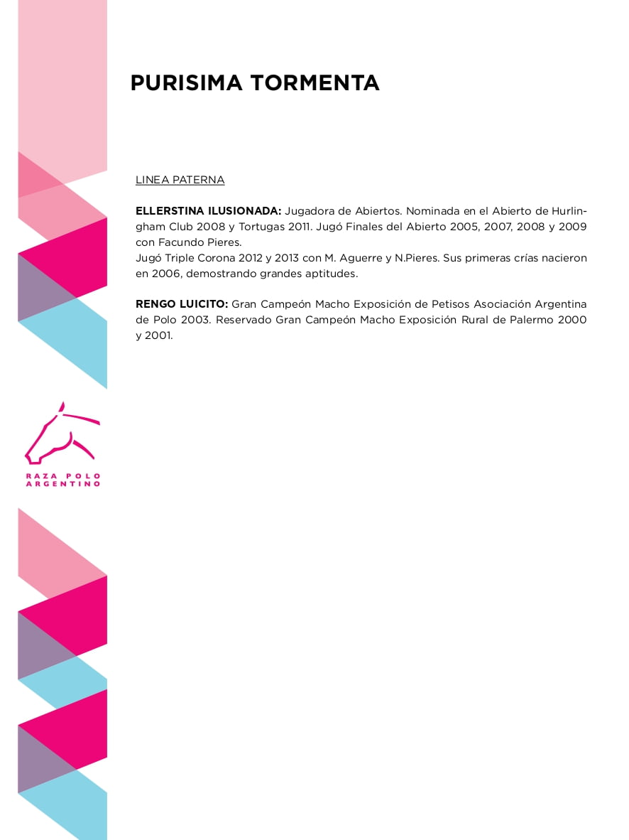 Lote PURISIMA TORMENTA (DON URBANO FUTURO - BORREN GOTITA)