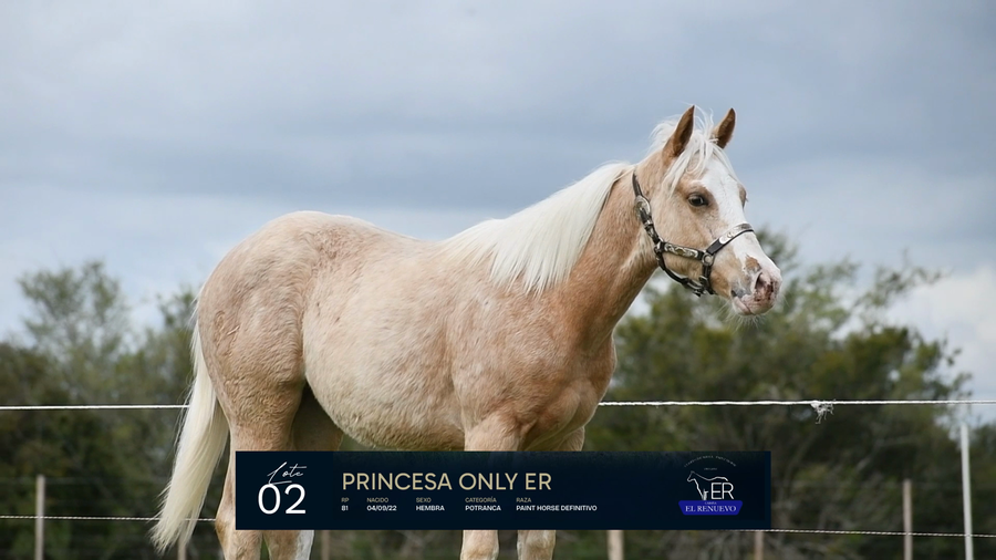 Lote PRINCESA ONLY ER