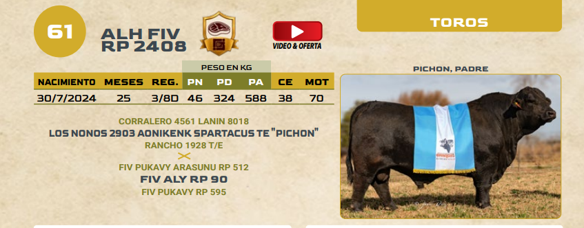 Lote LOTE 61