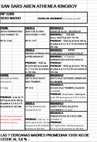 Lote Toros - Establecimiento San Santiago