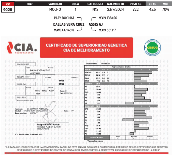 Lote LOTE 78