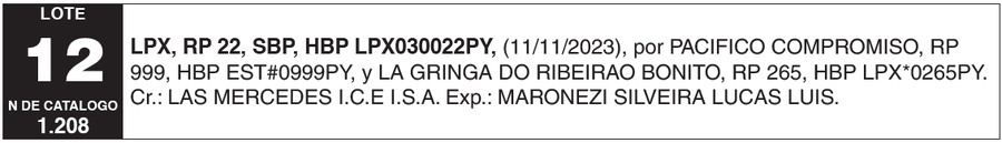 Lote LOTE 12