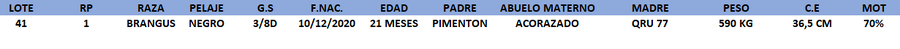 Lote LOTE 41