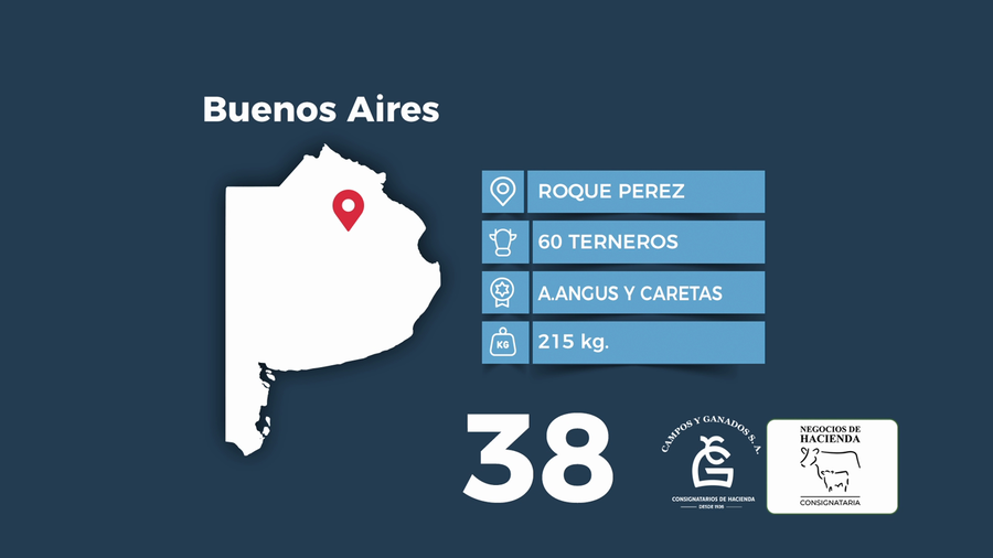 Lote 60 Terneros en Buenos Aires, Roque Pérez