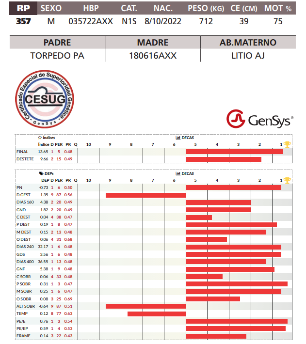 Lote LOTE 27