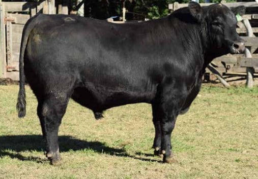 Lote CABAÑA "COEMBOTA" DE CALDERÓN RP 177