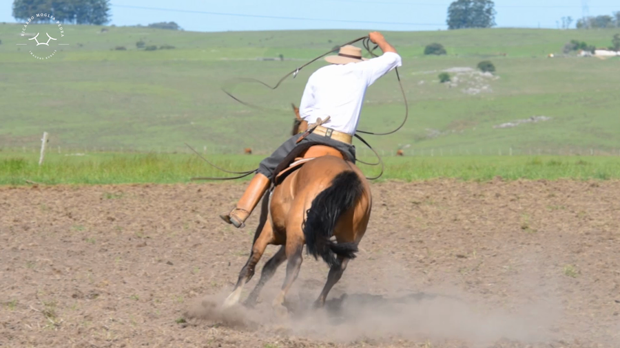 Lote El Gavilán Nicotina (RP 452) Cabaña "El Gavilán"