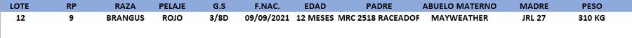 Lote LOTE 12