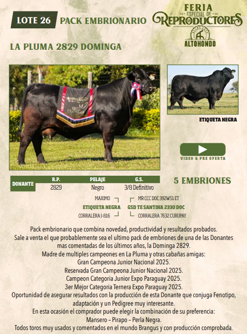 Lote LOTE 26