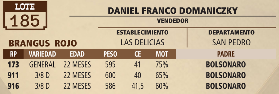 Lote LOTE 185 - VIVO