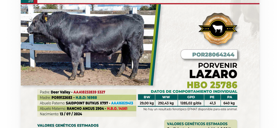 Lote 1 Toro LAZARO DIIO 4244