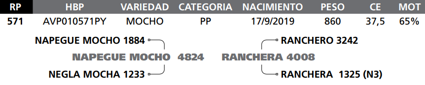 Lote LOTE 68- RP 571