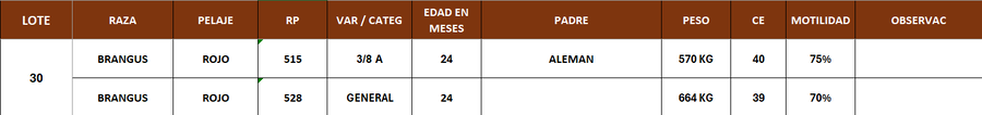 Lote LOTE 30