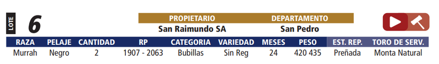 Lote LOTE 6