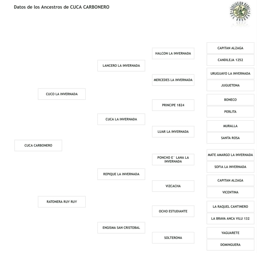 Lote Cabaña "Ana Elvira" - RP 10 - Cuca Carbonero