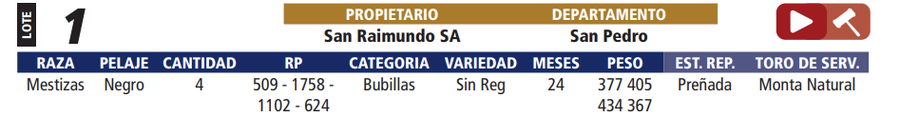 Lote LOTE 1