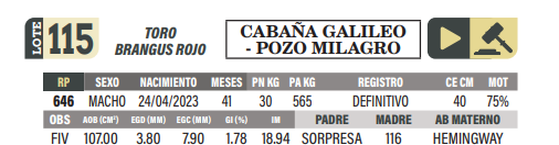 Lote LOTE 115