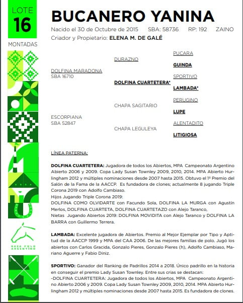 Lote BUCANERO YANINA(DOLFINA MARADONA-ESCORPIANA)