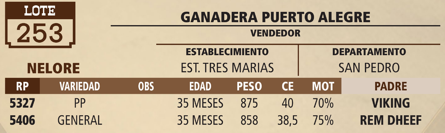 Lote LOTE 253 - VIVO
