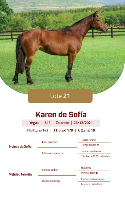 Lote LOTE 21