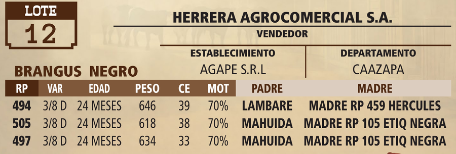 Lote LOTE 12 - VIVO