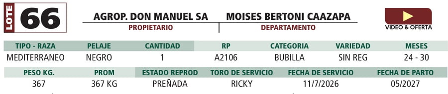Lote LOTE 66