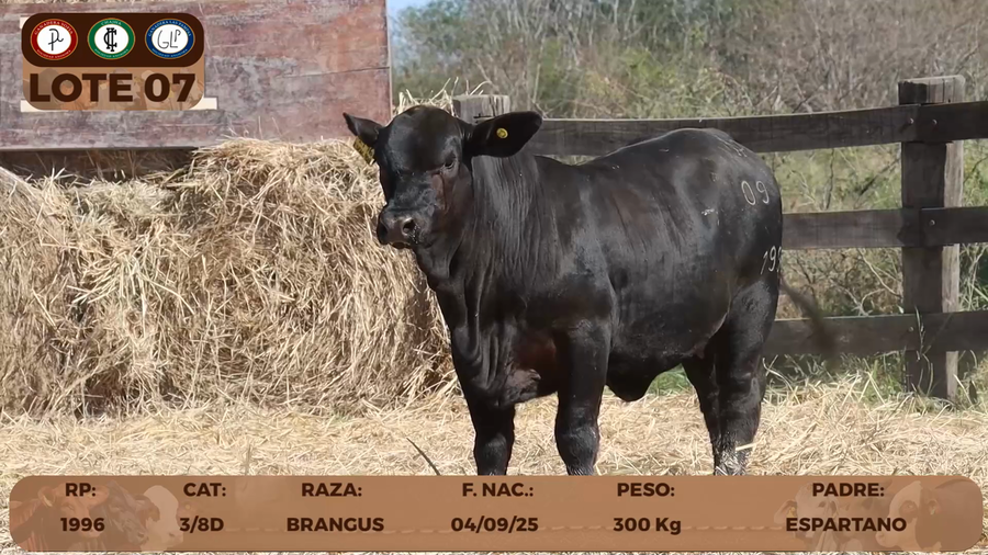 Lote LOTE 7- RESERVA DE CABAÑA