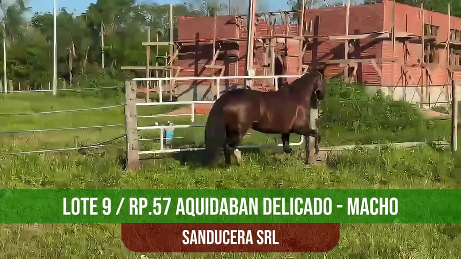 Lote ANC AQUIDABAN DELICADO