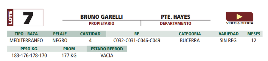 Lote LOTE 7