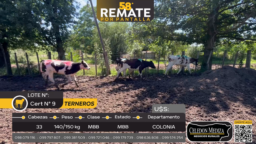 Lote 33 Terneros en Otra Localidad, Colonia