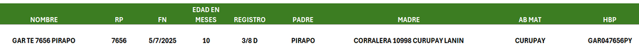 Lote LOTE 37