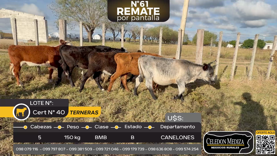 Lote 5 Terneras en ruta 107 a 10 km de Canelones