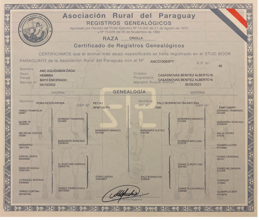 Lote LOTE 1 - DE CAMPO
