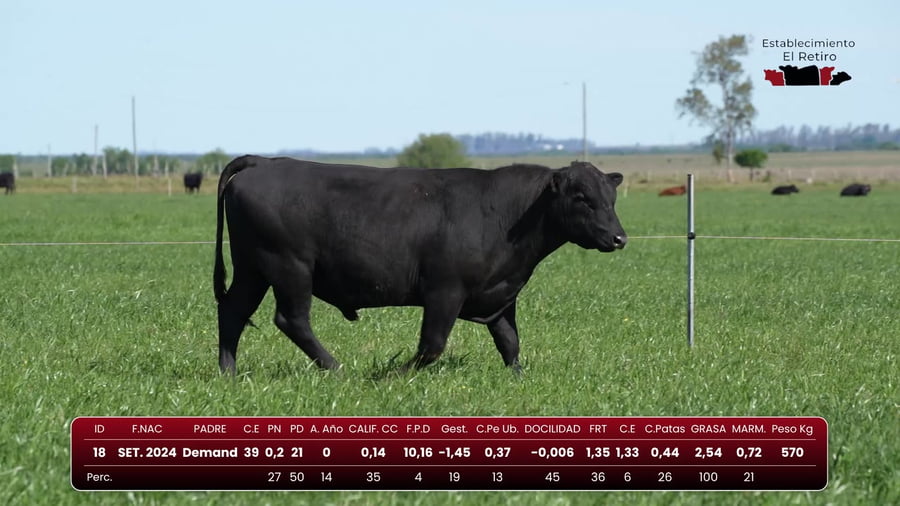 Lote RP 18