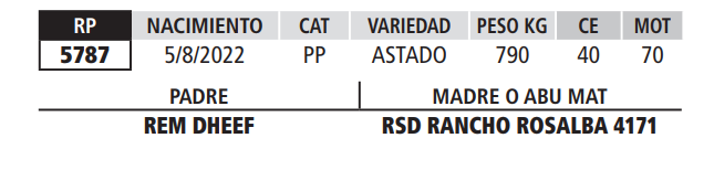 Lote LOTE 49