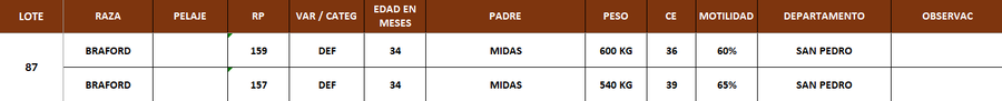 Lote LOTE 87- POR PANTALLA