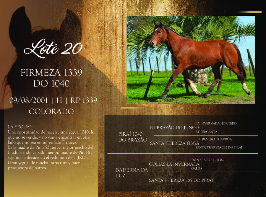 Lote RP 1339 - FIRMEZA 1339 DO 1040