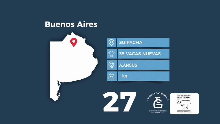 Lote 35 Vacas nuevas C/ gtia de preñez en Buenos Aires, Suipacha