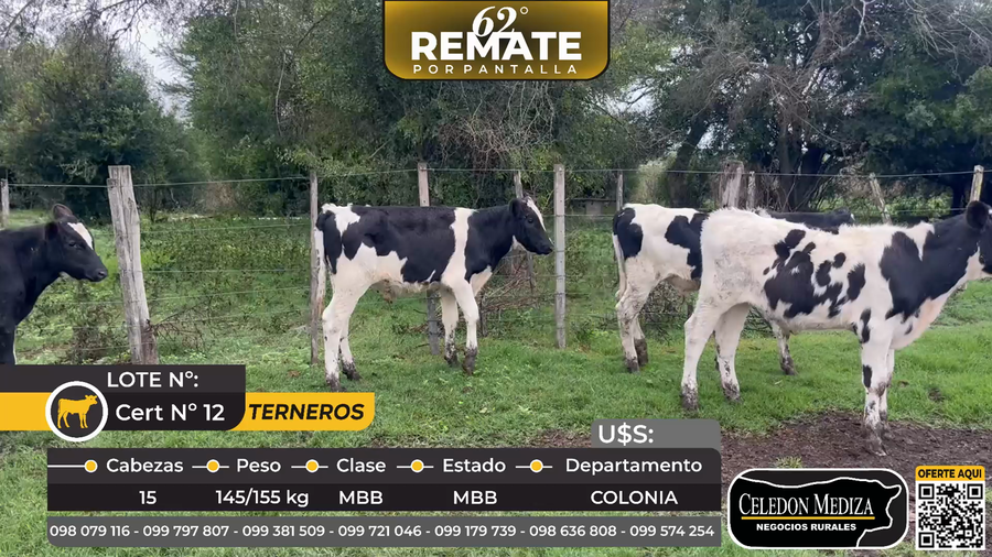 Lote 15 Terneros en Parque Eólico Artilleros, Colonia