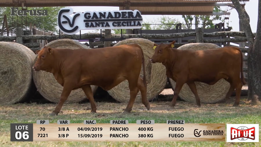 Lote Ganadera Santa Cecilia - Lote 6