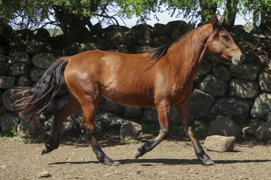 Lote AGUAS CLARAS OFELIA