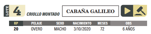Lote LOTE 4
