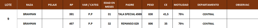 Lote LOTE 9