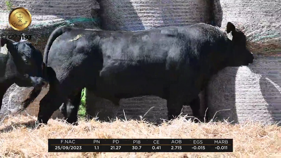 Lote LA SANTINA 4 REAL 644-1193