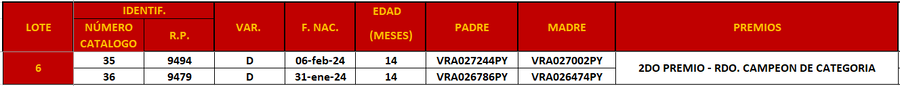 Lote LOTE 6