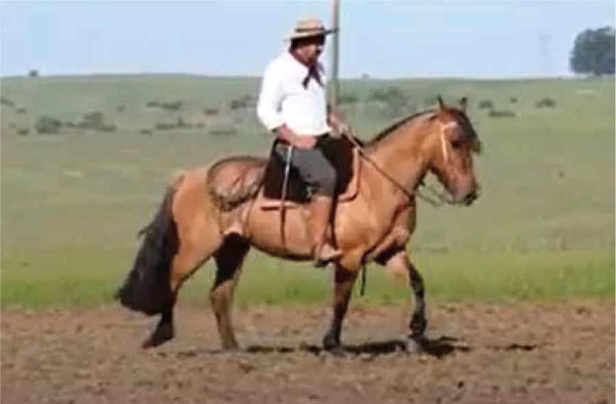 Lote El Gavilán Musulmana (RP 422) Cabaña "El Gavilán"