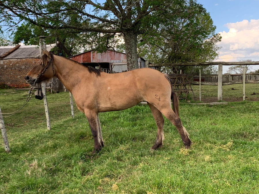 Lote Lucero Mojon (RP 516) - Cabaña "El Hornero"
